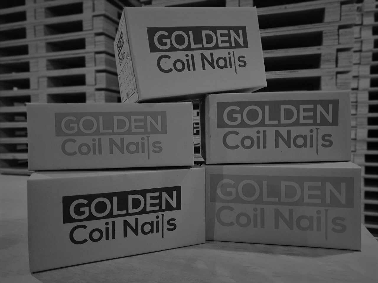 Golden coil тетрадь фото 81